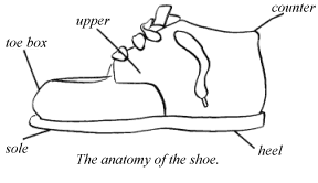 Shoe anatomy